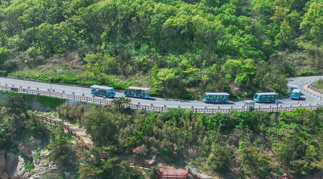 践行《生态环境法典》:宇通锂电观光车的零碳解决方案 图片