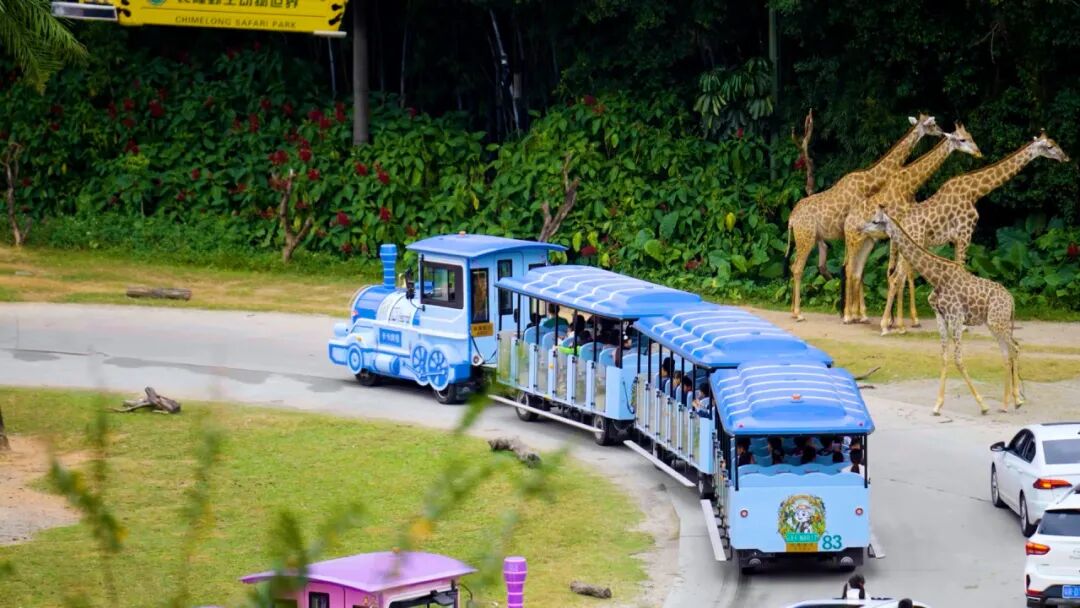 践行《生态环境法典》:宇通锂电观光车的零碳解决方案 图片
